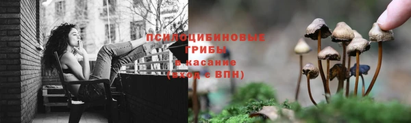 каннабис Алексеевка